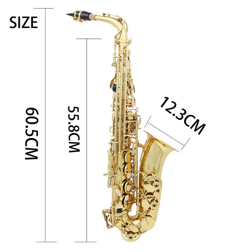 Eryue Brass EB Alto Saxophone Sax Lacquered Gold Woodwind